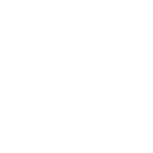 home icon