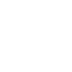 theft icon