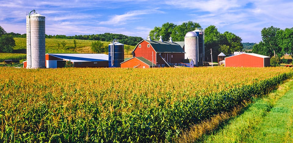 Industries farms