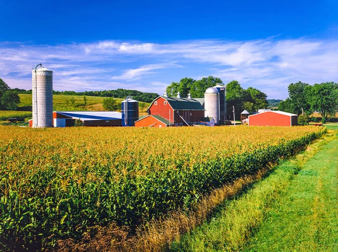 Farms Face Real-World Security Challenges